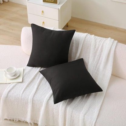 Black Outdoor Waterproof Pillows with Inserts - Pack of 2