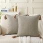 Farmhouse Neutral Throw Pillows with Tassels - Pack of 2