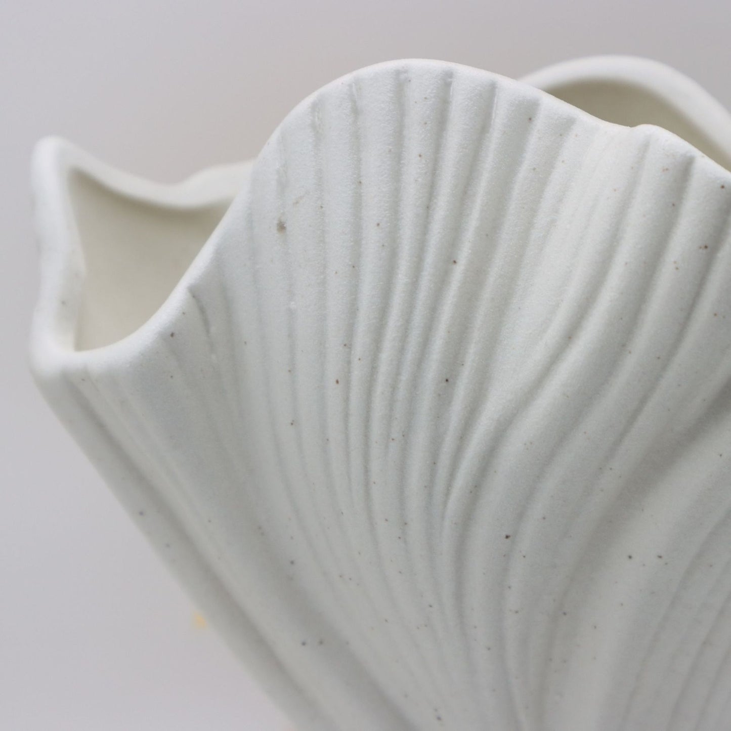 White Elegant Off-White Ceramic Vase